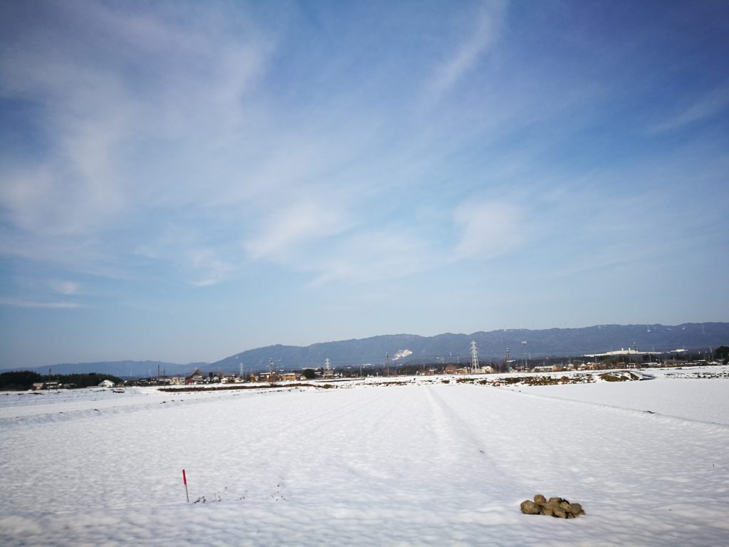 寒そうな風景