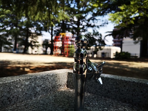 公園の蛇口